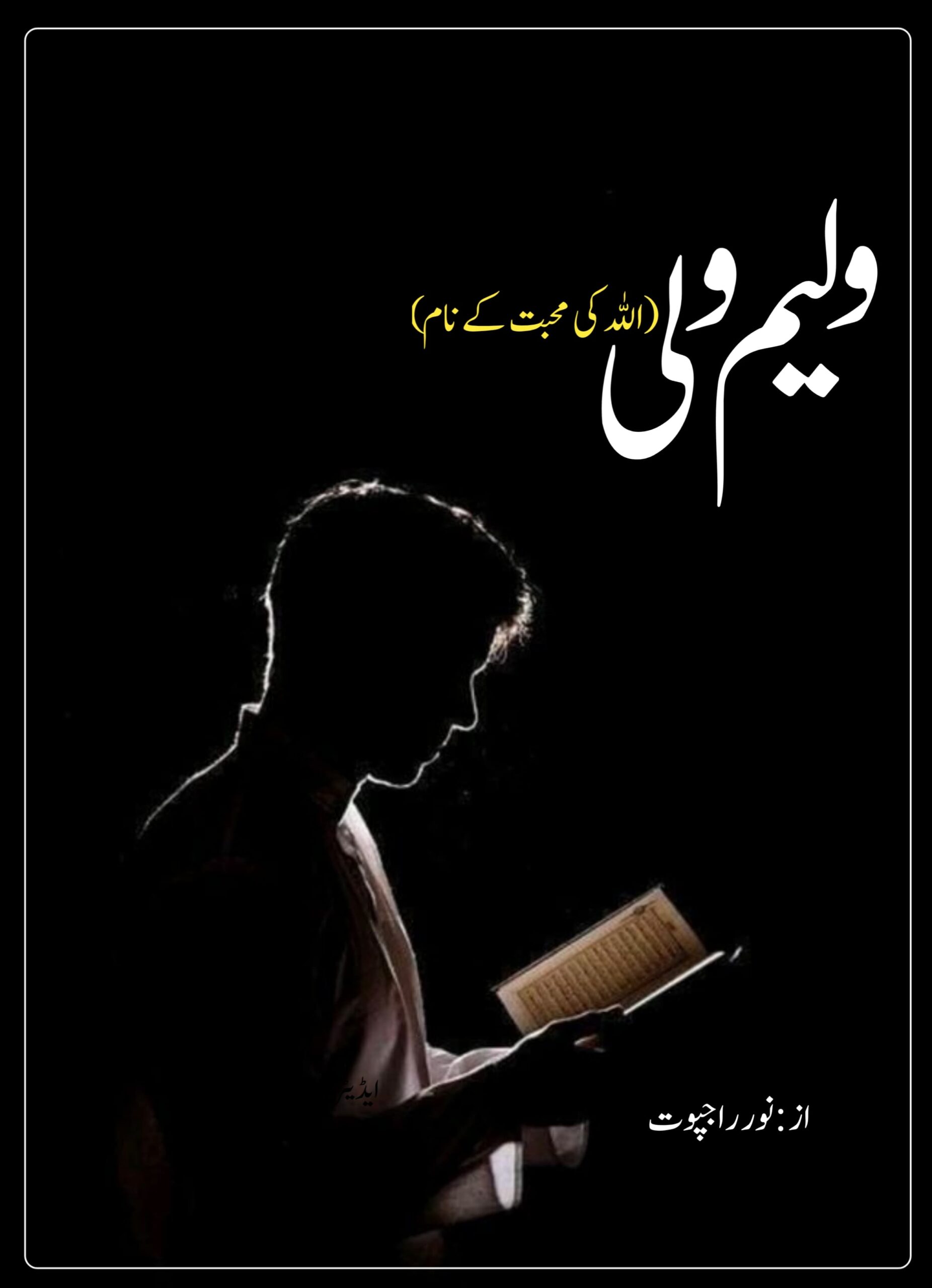 william wali novel by noor rajpoot